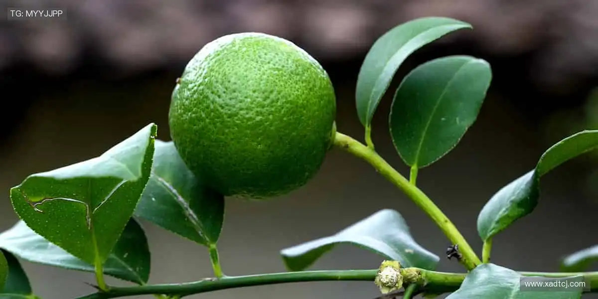 🏆直击赛场激情！🏃‍♂️ 即刻锁定你的专属赛事频道！